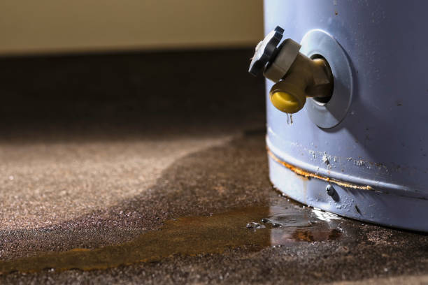 Best 24-hour water damage restoration  in Wrens, GA