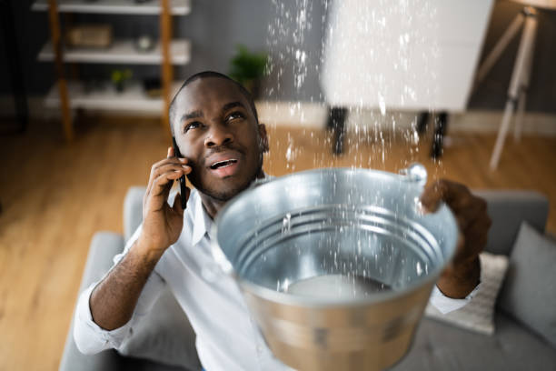 Best Ceiling water damage repair  in Wrens, GA