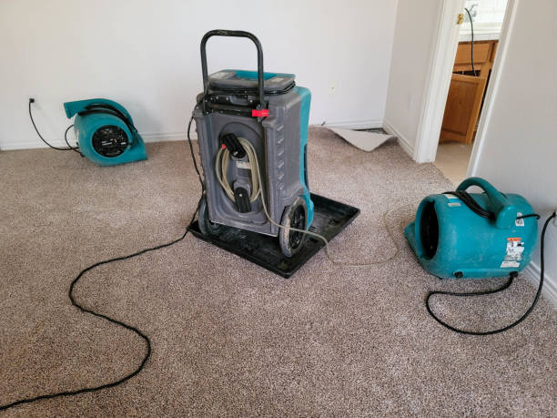 Best Sewage cleanup and water damage restoration  in Wrens, GA