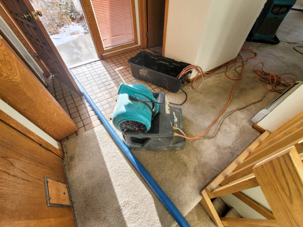 Best 24-hour water damage restoration  in Wrens, GA