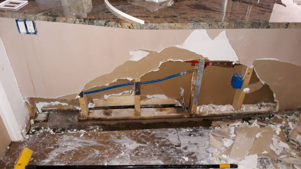 Best Water damage contractors near me  in Wrens, GA
