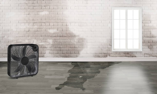 Best Fire Damage Restoration  in Wrens, GA