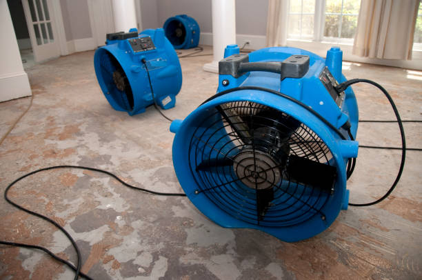 Best Flooded house restoration  in Wrens, GA