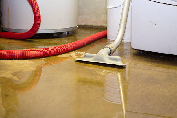 Best Flood damage cleanup  in Wrens, GA