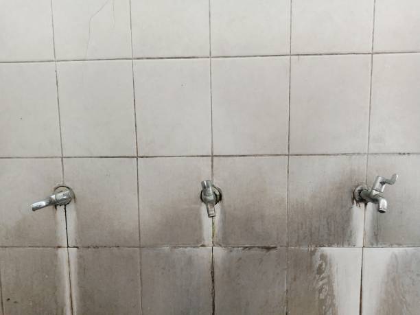 Best Basement water damage restoration  in Wrens, GA