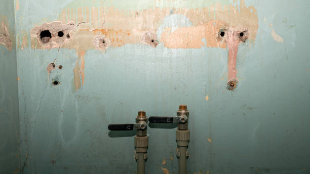 Best Professional water damage repair  in Wrens, GA