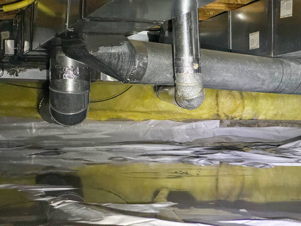 Best Water damage cleanup near me  in Wrens, GA