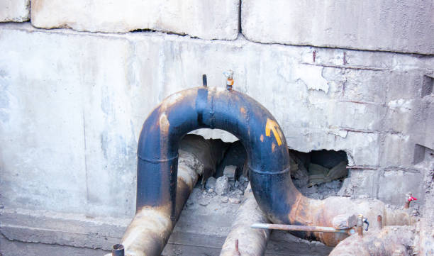 Best Local water damage restoration  in Wrens, GA